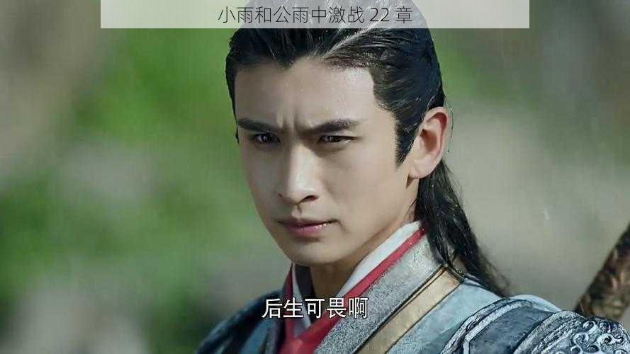 小雨和公雨中激战 22 章