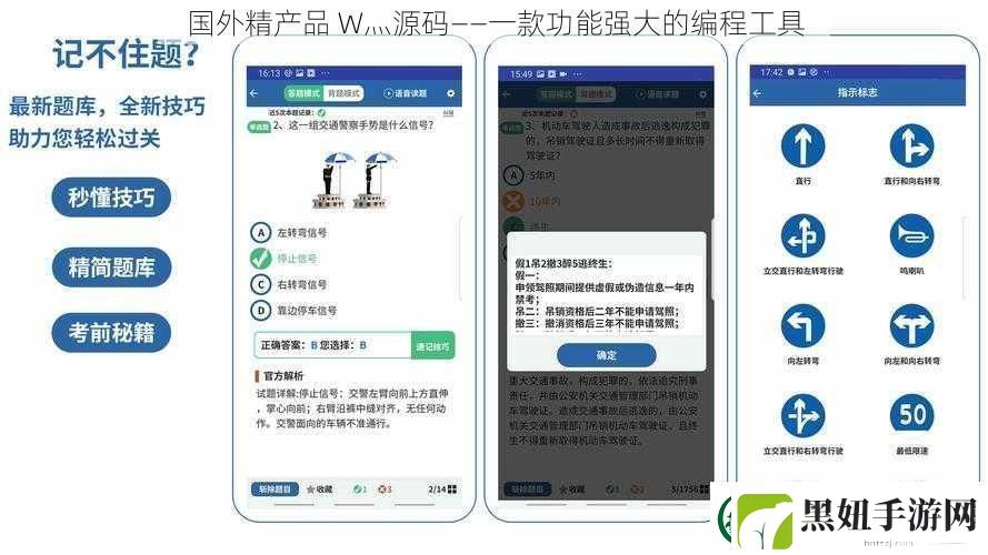 国外精产品