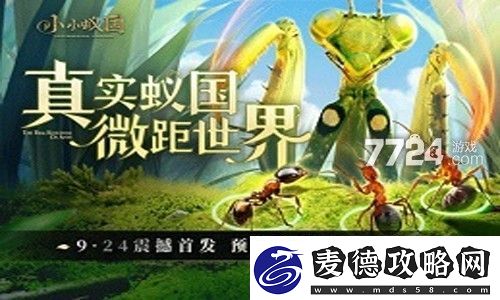 小小蚁国礼包码永久有效