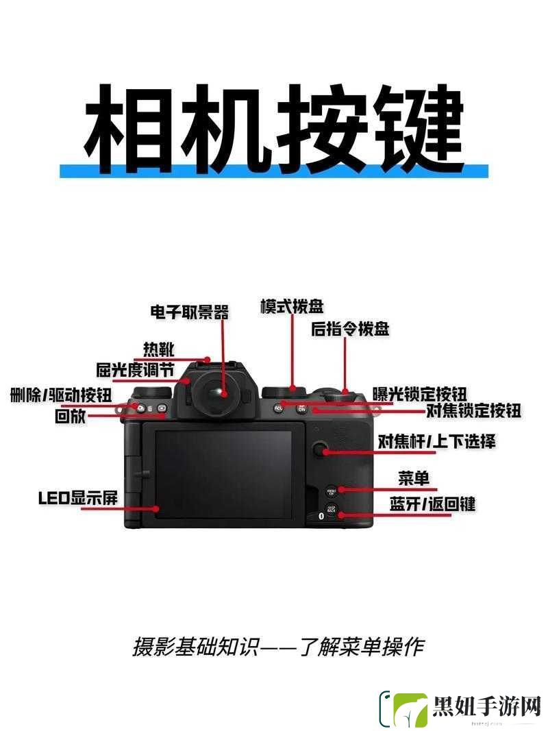 范海辛的奇妙冒险