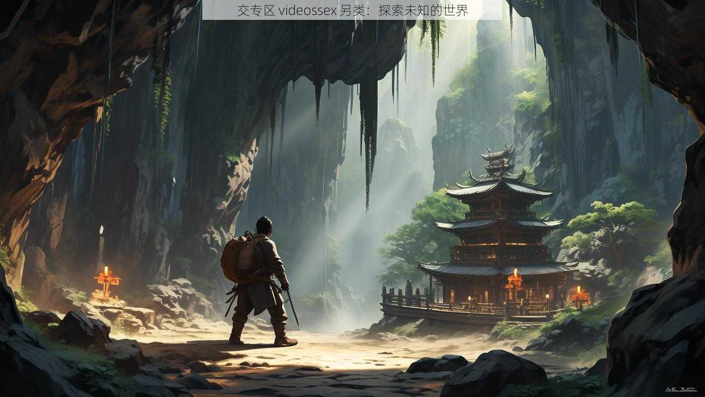 交专区 videossex 另类:探索未知的世界
