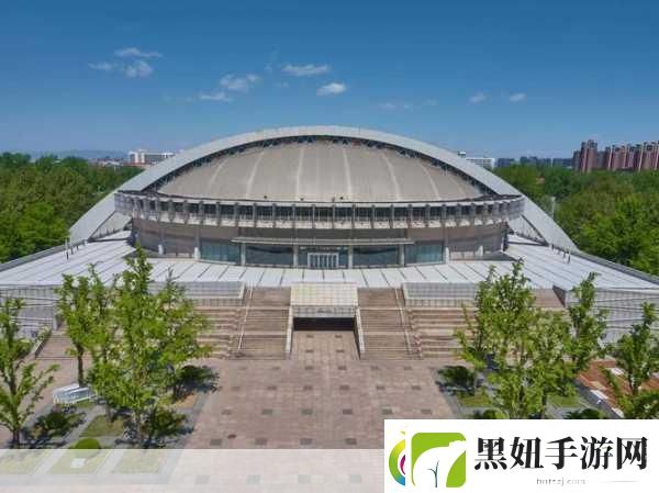 女婿有劲枪枪到底