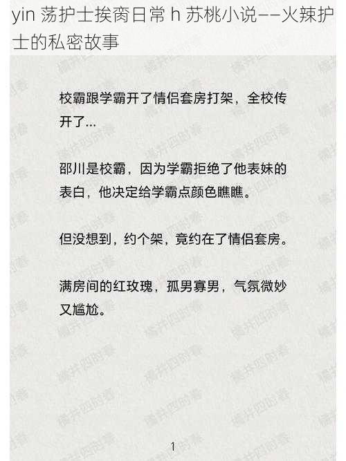 yin 荡护士挨脔日常 h 苏桃小说——火辣护士的私密故事