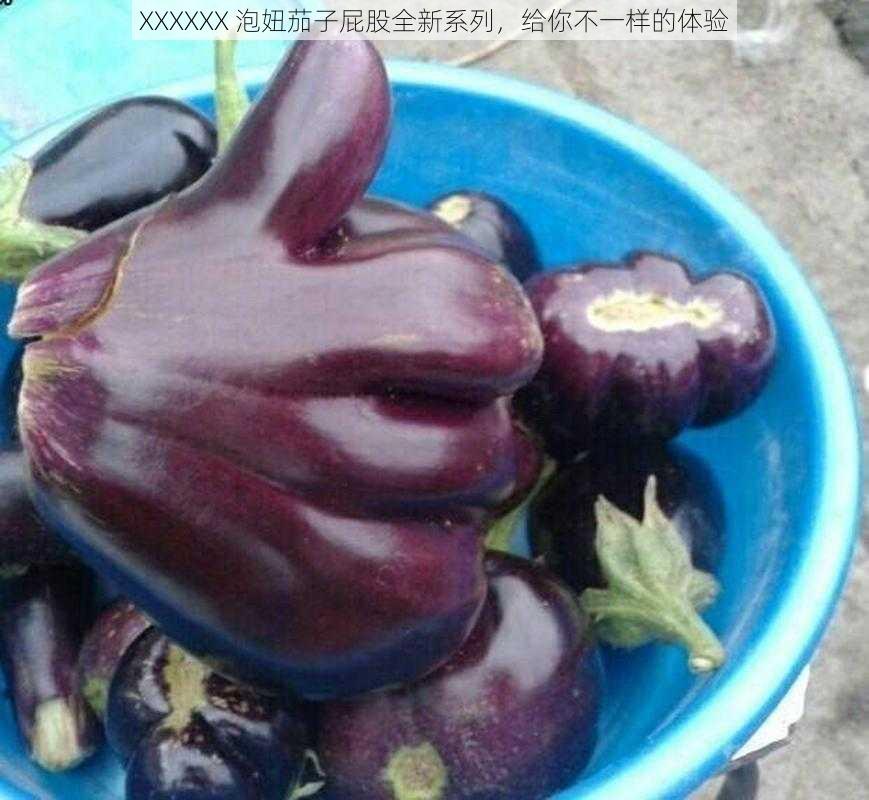 XXXXXX 泡妞茄子屁股全新系列，给你不一样的体验