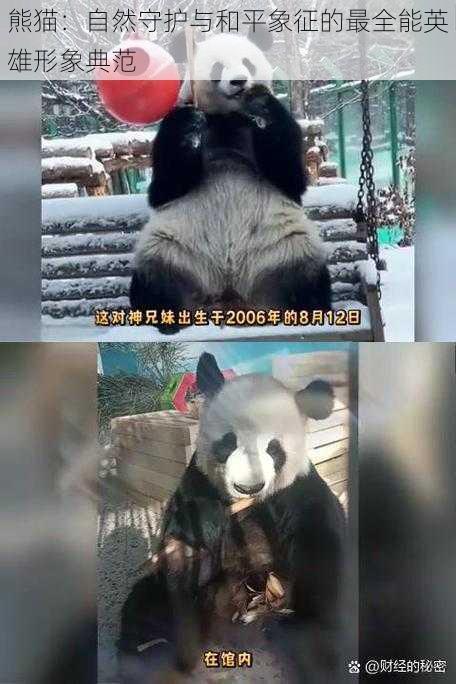 熊猫:自然守护与和平象征的最全能英雄形象典范