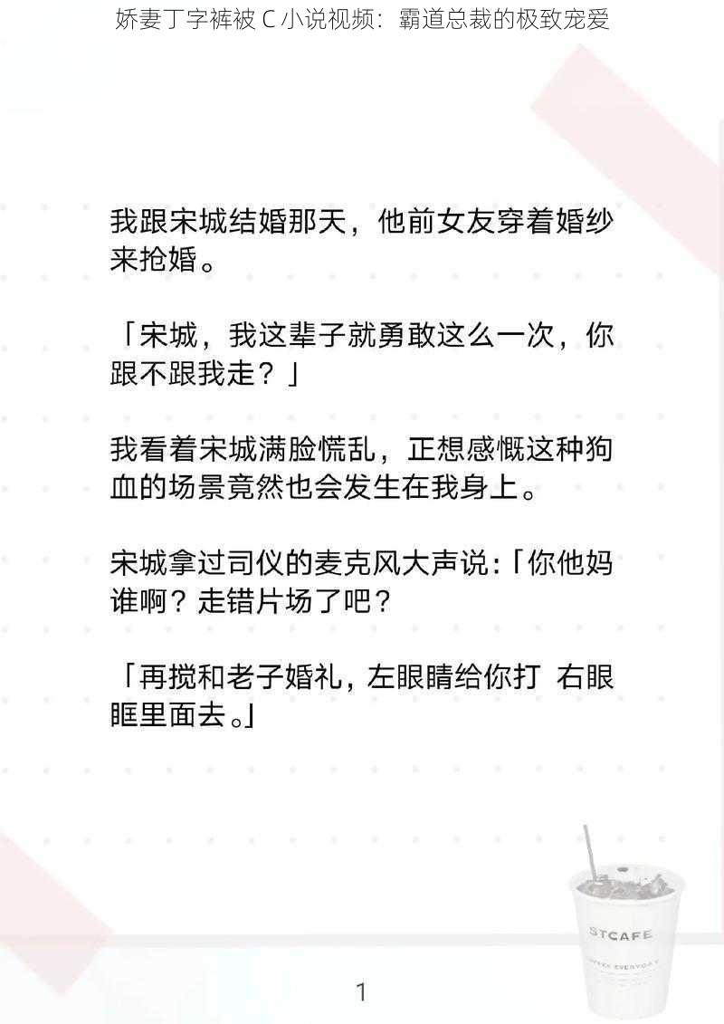 娇妻丁字裤被 C 小说视频:霸道总裁的极致宠爱