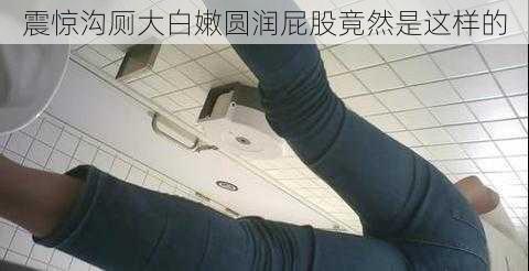 震惊沟厕大白嫩圆润屁股竟然是这样的