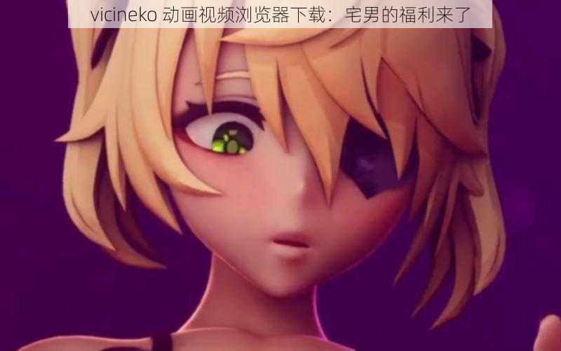 vicineko 动画视频浏览器下载：宅男的福利来了