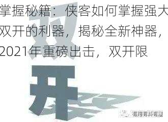掌握秘籍：侠客如何掌握强大双开的利器，揭秘全新神器，2021年重磅出击，双开限