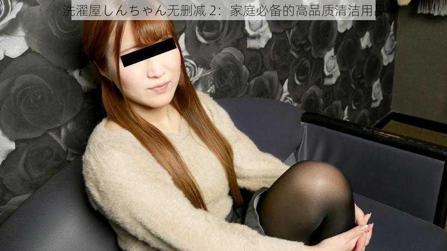 洗濯屋しんちゃん无删减 2:家庭必备的高品质清洁用品