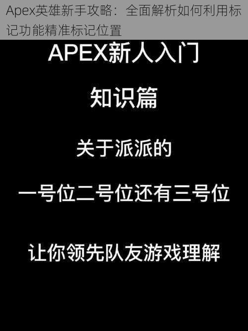 Apex英雄新手攻略:全面解析如何利用标记功能精准标记位置