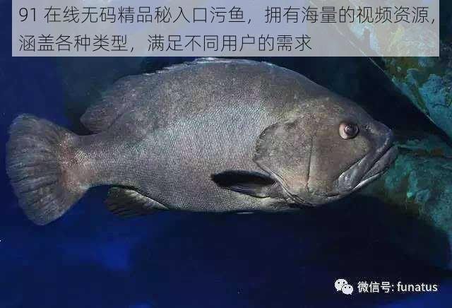 91 在线**精品秘入口污鱼,拥有海量的视频资源,涵盖各种类型,满足不同用户的需求