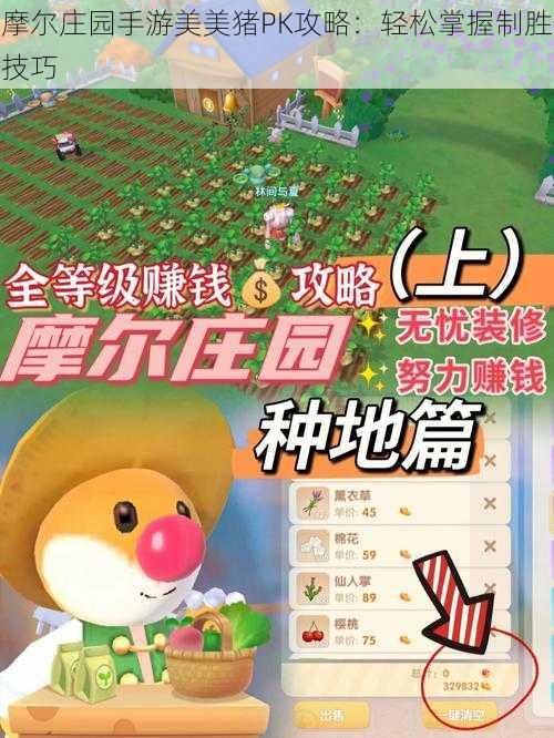 摩尔庄园手游美美猪PK攻略：轻松掌握制胜技巧