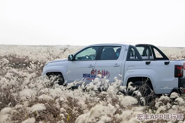 风云岛行动：匠心独运-厨师职业深度策略与实战操作技巧全解析