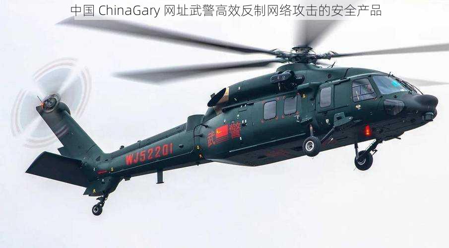 中国 ChinaGary 网址武警高效反制网络攻击的安全产品
