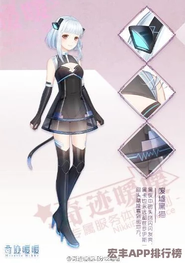 全面揭秘