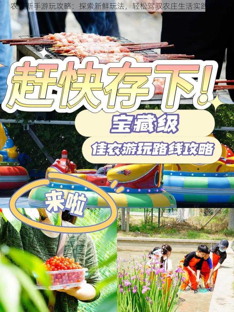 农庄新手游玩攻略:探索新鲜玩法,轻松驾驭农庄生活实践指南