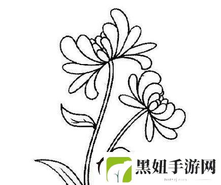 “六年级菊花”塞笔奇谈