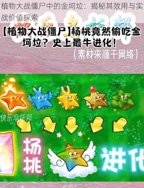 植物大战僵尸中的金坷垃:揭秘其效用与实战价值探索