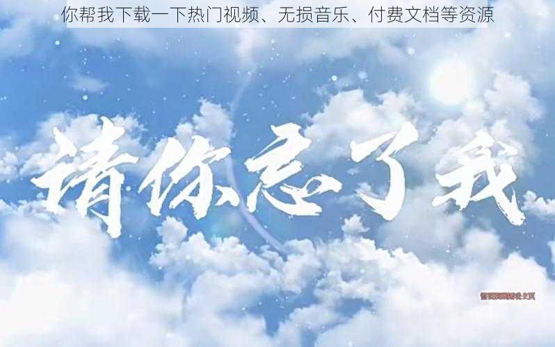 你帮我下载一下热门视频、无损音乐、付费文档等资源