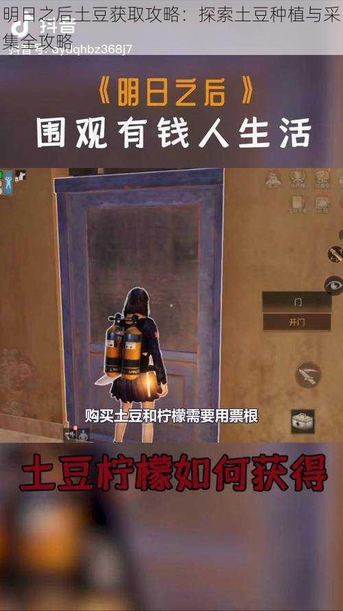 明日之后土豆获取攻略：探索土豆种植与采集全攻略