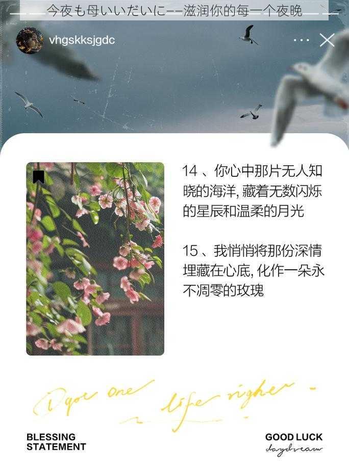 今夜も母いいだいに——滋润你的每一个夜晚