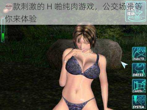 一款刺激的 H 啪纯肉游戏,公交场景等你来体验