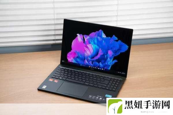 宏碁2450M,1. 宏碁2450M:突破极限的高效工作利器