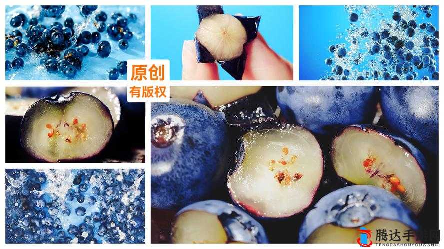 震惊蓝莓换妻视频背后的惊人秘密