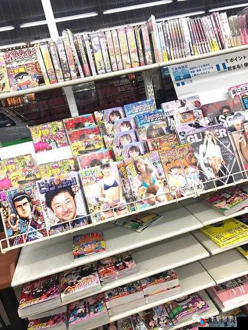 亚洲日本成人咸片网址:探索别样精彩世界