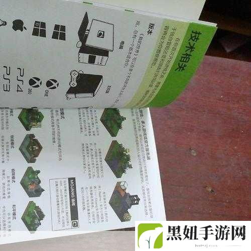 我的世界生存模式,冰原探索指南