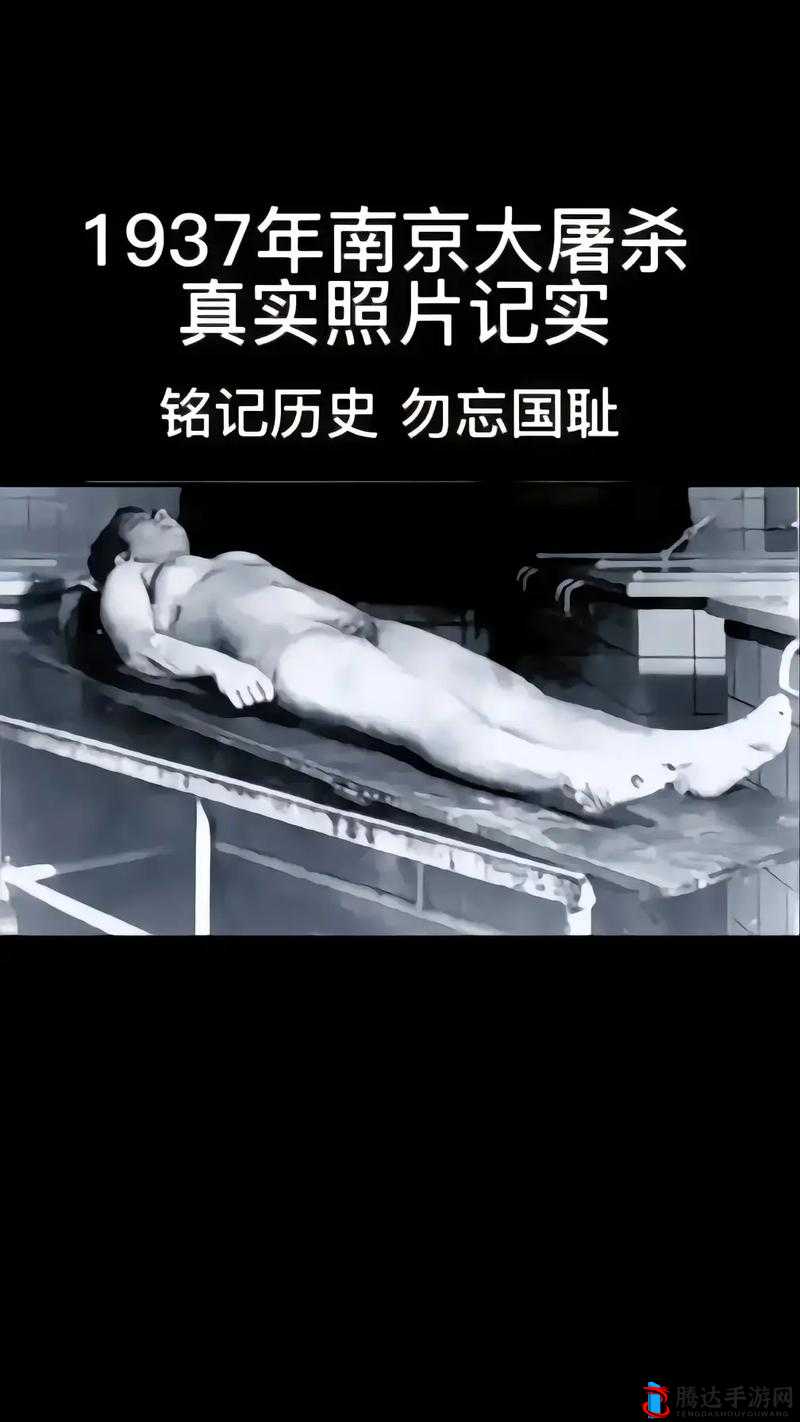 日本人相关视频引发的深度思考与探讨