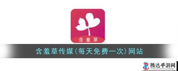 含羞草传媒 2022 隐藏路线探索及相关内容解析