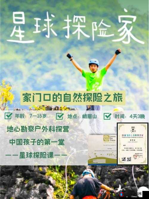 大*导航引领趣味网络探索之旅