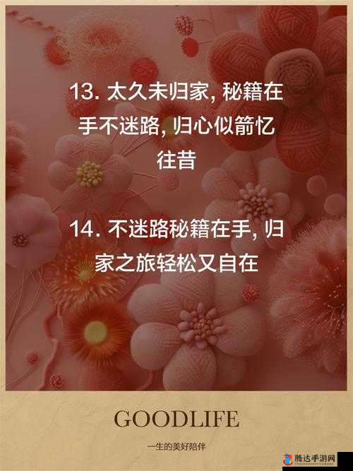 建议收藏:回家不迷路,让你轻松找到归途