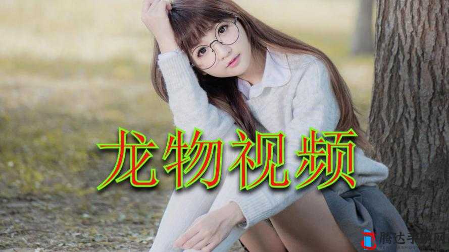 yw193 龙物失联游戏详解直播间内推荐快来看看有何特别之处