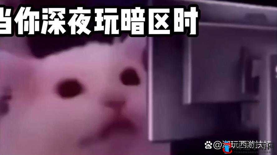 120 秒午夜体验区 5 次:带你探索神秘午夜之旅