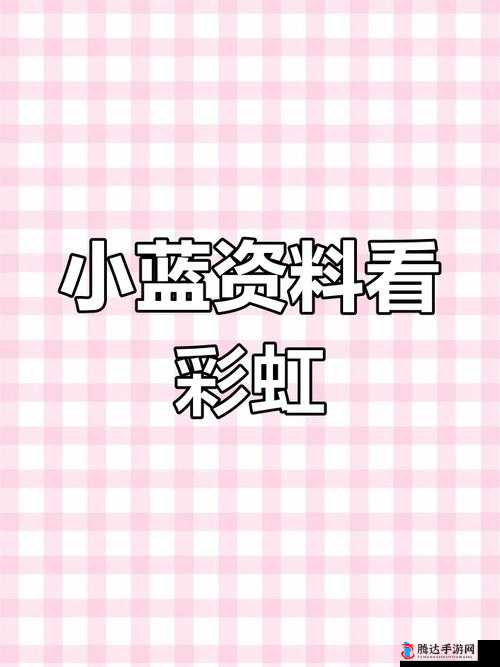 一同看彩虹小蓝2024破解版:一款非法侵权的软件不应该被使用和传播