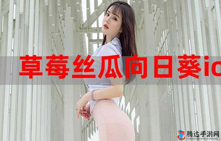 草莓榴莲向日葵丝瓜 18 岁的青春成长故事