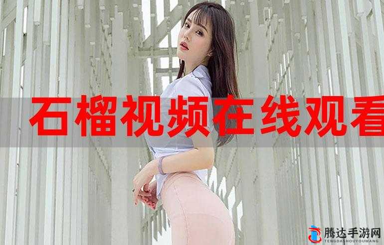无人在线视频观看免费:畅享无限精彩无需付费的视觉盛宴
