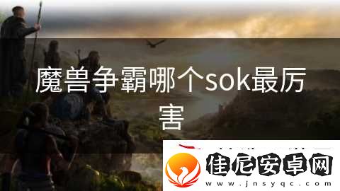 魔兽争霸哪个sok最厉害