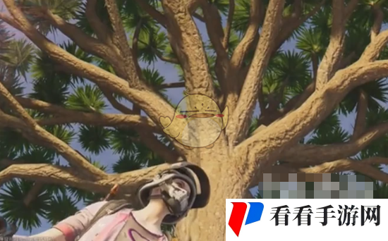 《七日世界》龙血树作用介绍