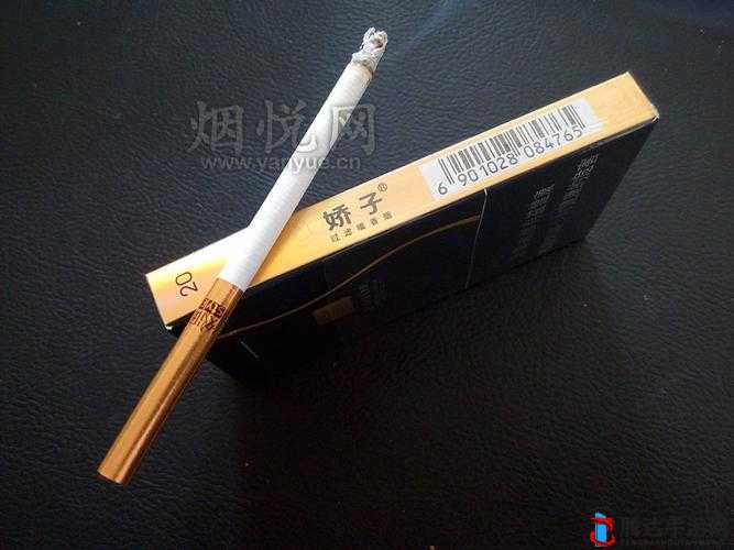 格调娇子黑色多少钱一包:探究其价格背后的因素