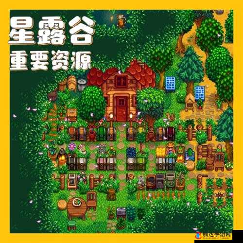 星露谷物语黄水晶的寻觅之旅