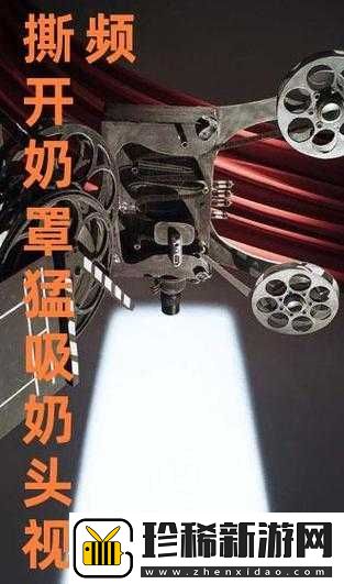 他撕开我的奶罩揉吮我的奶头