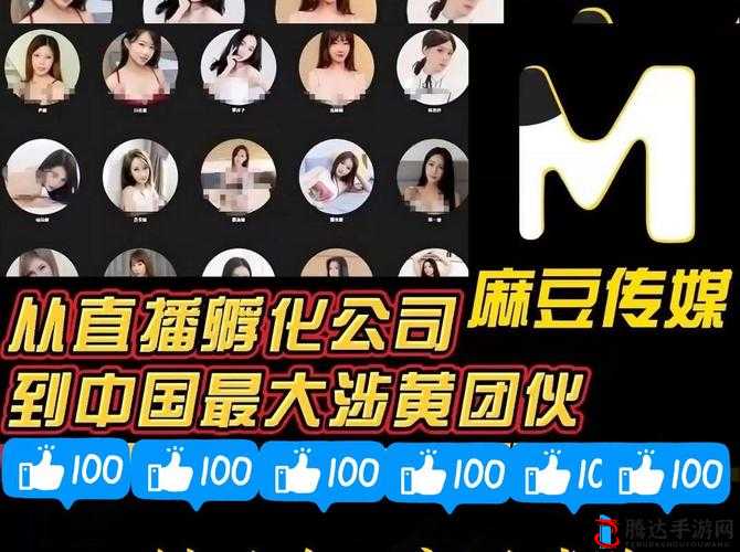 麻豆影视在线直播观看免费:警惕此类非法影视平台的危害