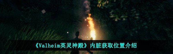 《Valheim英灵神殿》内脏获取位置介绍
