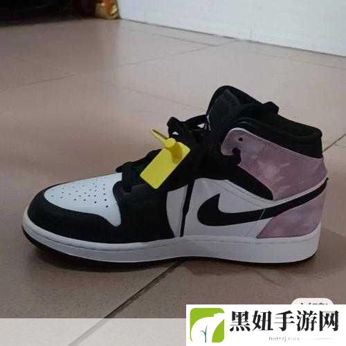 两个人做aj是什么意思,1. 深入探讨两人合作的AJ模式与创新