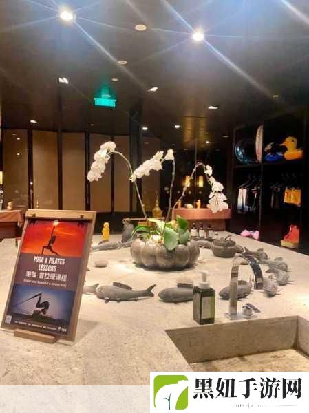 办公室可不可以干湿你非常适合解压,1. 办公室解压新方式:干湿交替带来的舒适体验