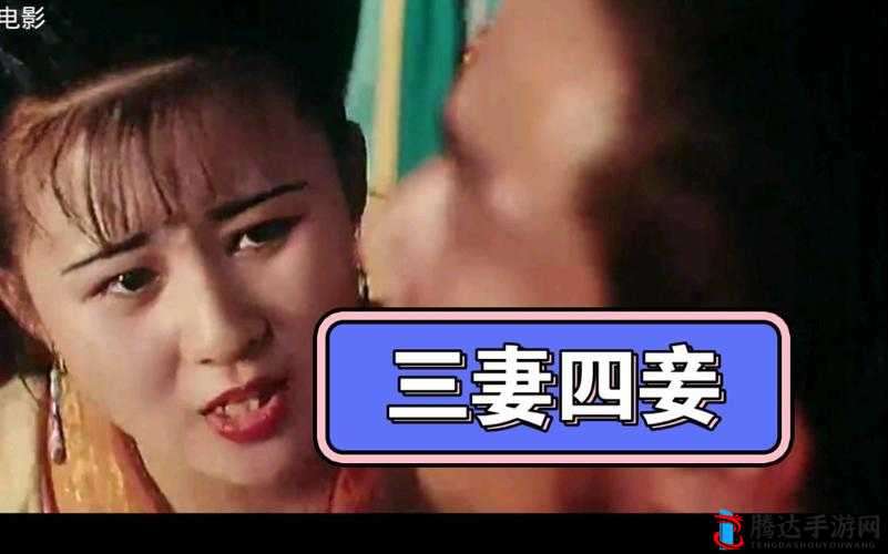 三妻四妾免费观看完整无删减畅享精彩剧情